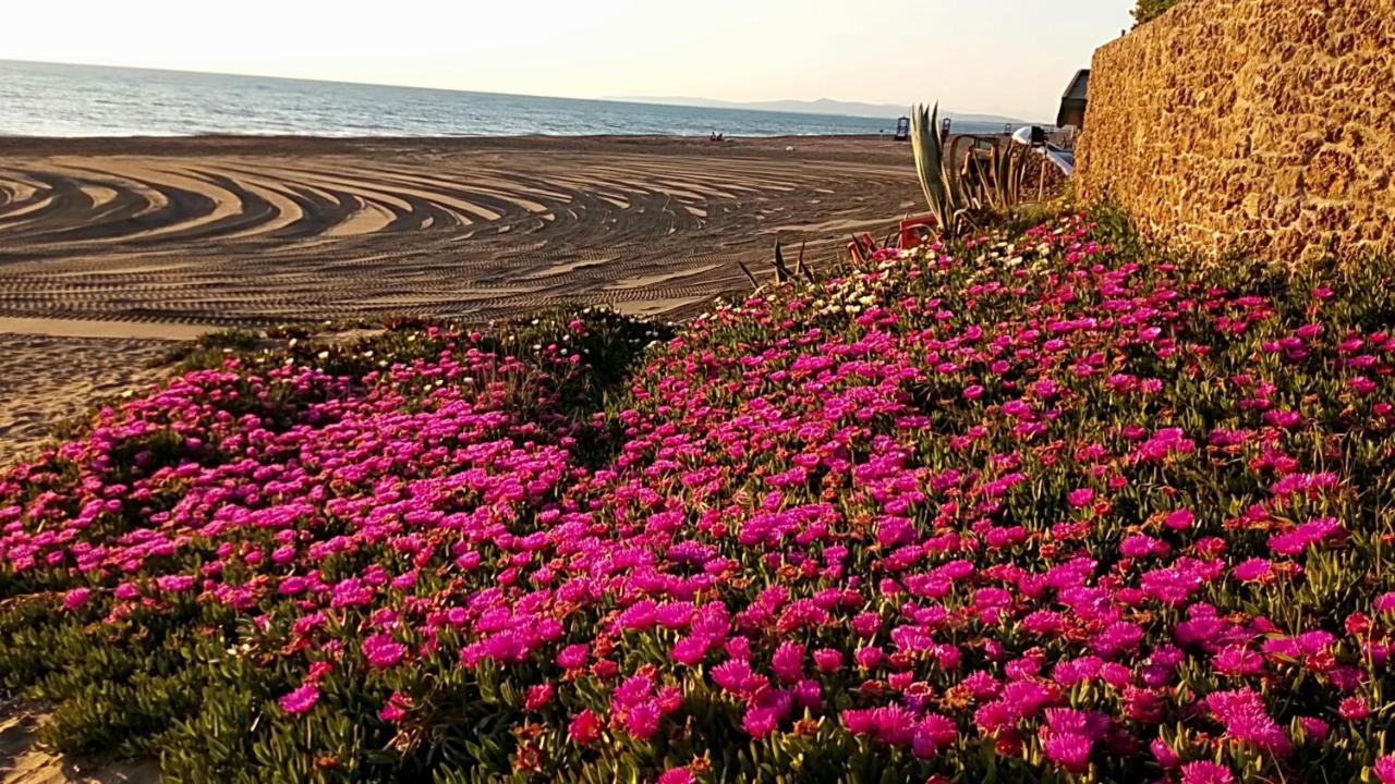 Hotel Lupo di Mare Marina di Castagneto Carducci Esterno foto