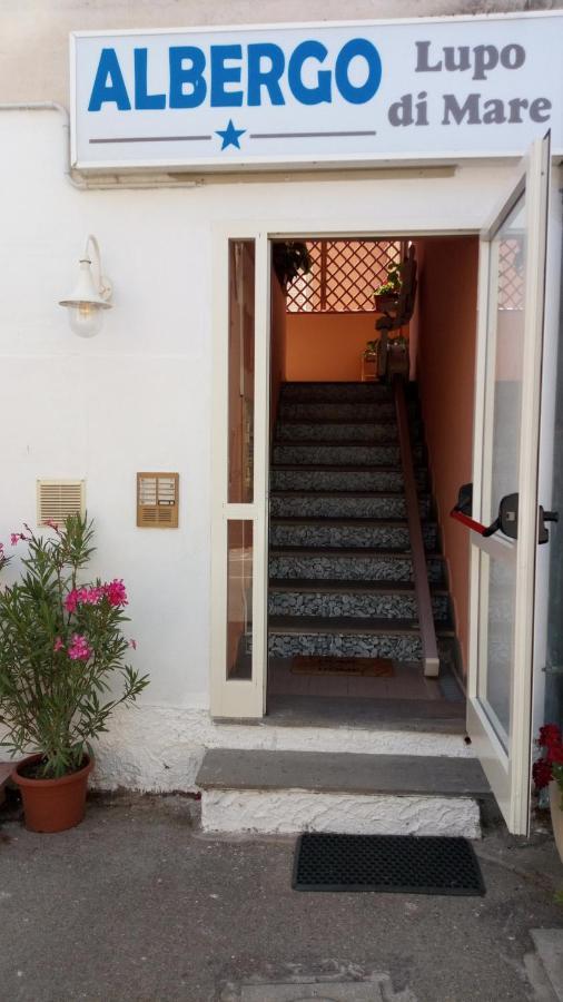 Hotel Lupo di Mare Marina di Castagneto Carducci Esterno foto
